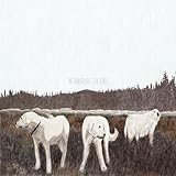 albatrossen Neuer Store Lager The Albatross: Ten Years (Brown Vinyl Lp) [Vinyl LP]
