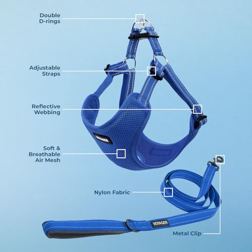 Image of Best Pet Supplies Voyager Adjustable Step-in Flex Breathable Mesh Dog Harness for Small Medium Large Dogs Leash Set (Royal Blue), L