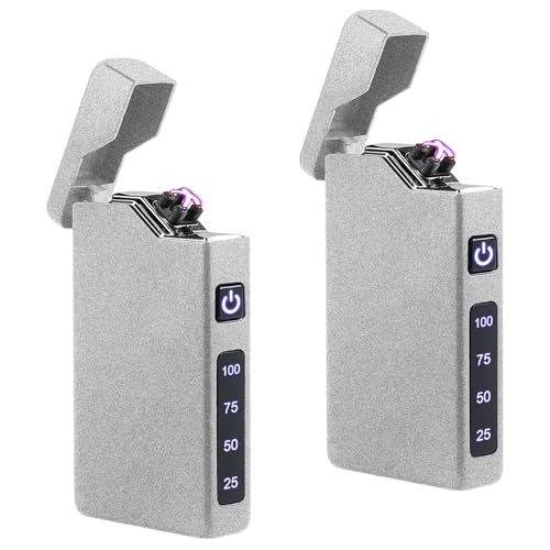 2 mecheros eléctricos, arco eléctrico, encendedor portátil con indicador de batería, recargable mediante USB, unisex, regalo con caja de regalo (plata)
