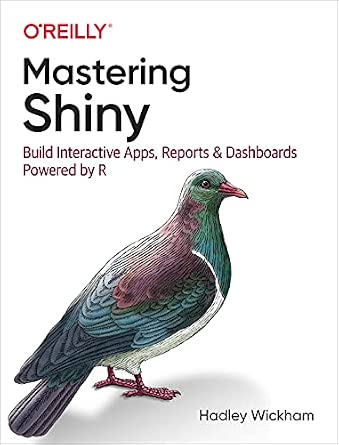 Mastering Shiny: Build Interactive Apps, Reports, and Dashboards Powered by R-Wow! eBook