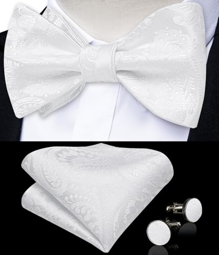 Image of DiBanGu Men Bow Tie Paisley Striped Self-Bow Tie for Men and Silk Woven Bowtie Pocket Square Cufflinks Wedding Party
