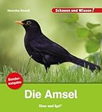 Hase und Igel Verlag GmbH