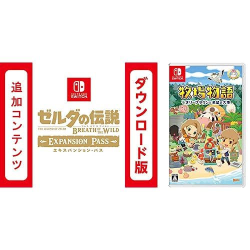 Amazon.co.jp: 【Switch用追加コンテンツ】 ゼルダの伝説 ブレス オブ