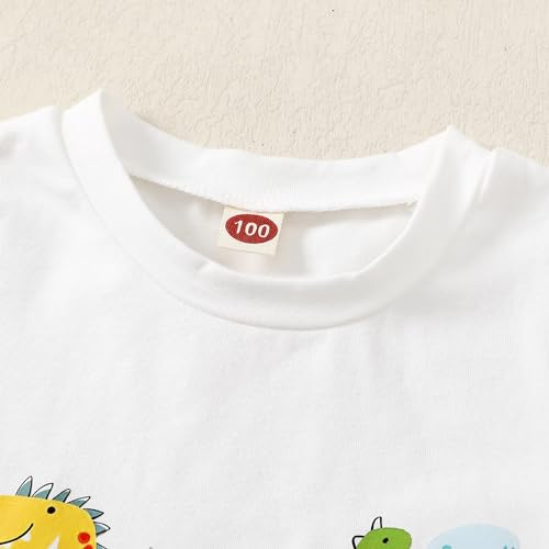 Toddler Baby Boy Girl Birthday Outfit 1st-5th Dinosaur Romper Shirt Joggers Pant Set 1-5 Yr Birthday Outfit4