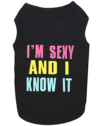 Parisian Pet Dog Cat Clothes Tee Shirts Embroidered T-Shirt Sexy and I Know It, 2XL