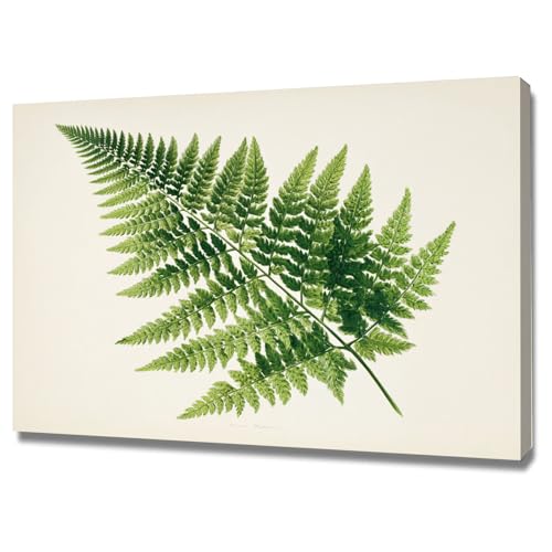 Affiche Décorative Murale Feuilles Vertes 60x90cm Encadrée pour Salon