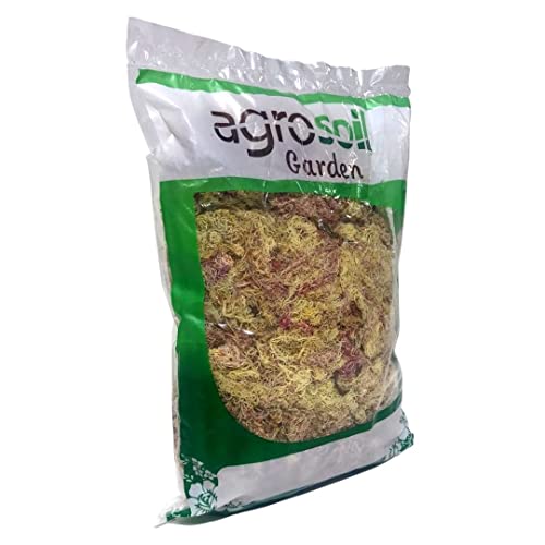 Musgo Esfagno Rosado 3L Seco P/Orquídeas Plantas Carnívoras