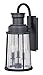 Vaxcel T0094 Coventry 9.5-Inch Outdoor Wall Light, Dark Bronze