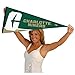 College Flags & Banners Co. UNC Charlotte Pennant Full Size Felt