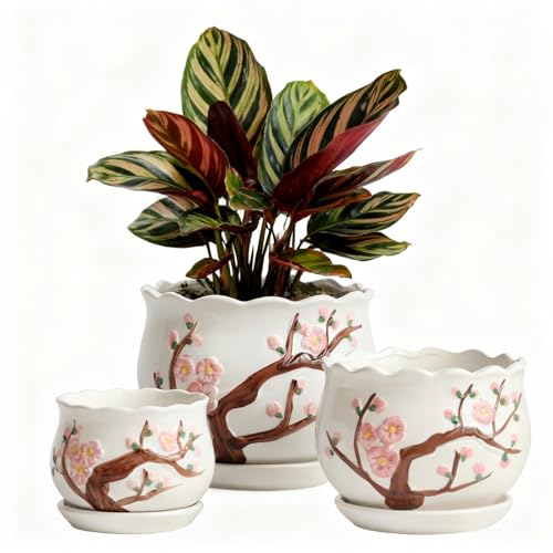 Image of FOLKLORE13 Vintage Flower Pots for Indoor Plant, Round Ceramic Plant Pots with Drainage Holes and Saucers, 6.7/5.2/3.9 Inches Retro Flower Planters Set of 3 (Cherry Blossom)