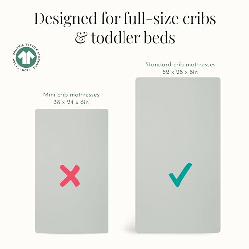 Image of Evolur Rawr Some 3 Piece Toddler Bedding Set, Super Soft and Breathable Toddler Bedding, Machine Washable, Includes Fitted Sheet, Comforter and Pillow Case