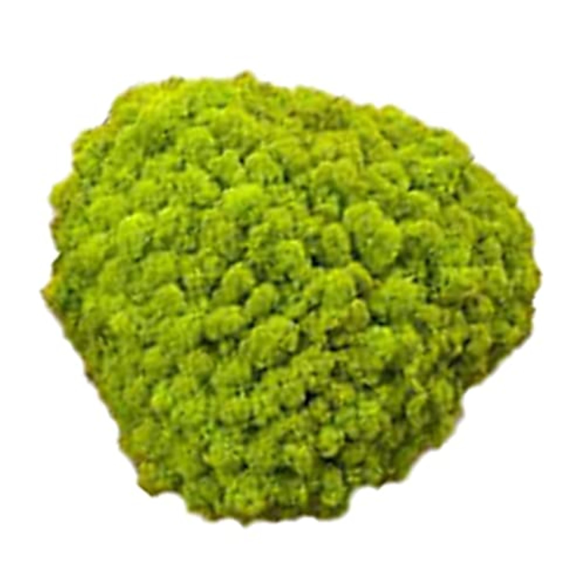 25g Simulation Moss Balls for DIY Garden Decor