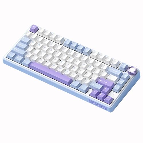 RK ROYAL KLUDGE R75 ���J�j�J���L�[�{�[�h GASKET�\�� �����E�L��3���[�h�Ή� Bluetooth/2.4GHz/Type-C RGB�o�b�N���C�g 75%�z�� 3750mAh�o�b�e���[ PBT�L�[�L���b�v �z�b�g�X���b�v ���ʃm�u�t