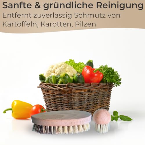 Miniatura 6 de Topanbieter 999 Juego De 2 Cepillos Para Verduras Y Champiñones De Madera De Haya, Cepillos De Limpieza Sostenibles Para Verduras Y Hongos, Robustos, Duraderos Y Respetuosos Con El Medio Ambiente
