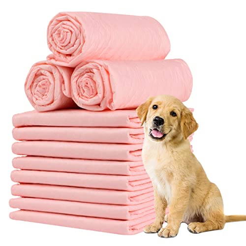 amazon.ae Best Sellers The best items in Disposable Dog Training Pads based on Amazon customer