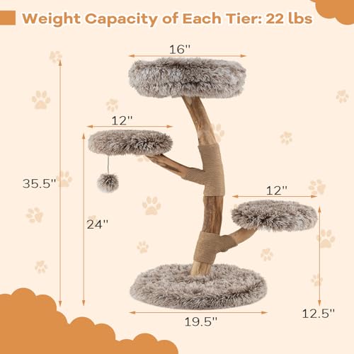 Árbol para Gatos de Madera de Pera 35.5 pulgadas miniatura 3