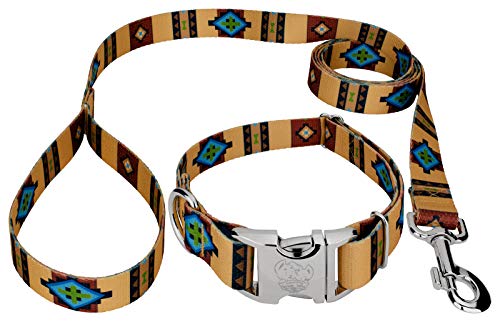 Country Brook Petz - Premium Native Arizona Dog Collar and Leash - Country and Western Collection Featuring Rustic Designs (1 Inch, Large)