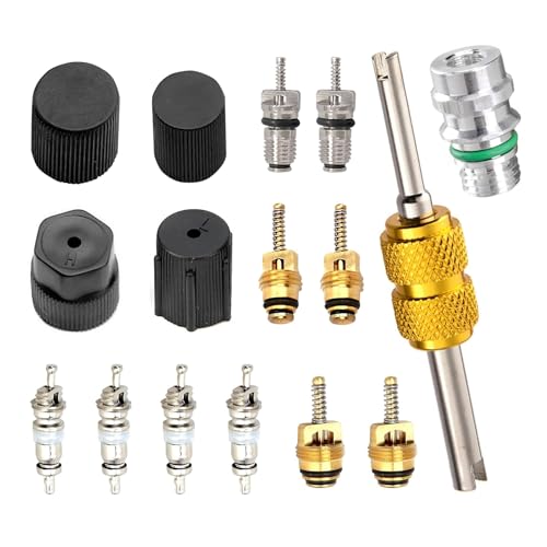 Titwaye 16 PCS Air Conditioning Valve Core Kit, R134A AC Val