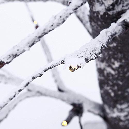 Maximalpower Led Snow Bonsai Tree Light 15-Inch Tabletop Lamp W/ 24 Light Bulbs | Cordless Battery-Powered - White Light (Tree + 4 Recharge Aa Batts) #TOP5