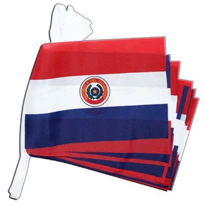 Guirlande drapeau Paraguay de 5,9 mètres pour décoration de salle et grand événement