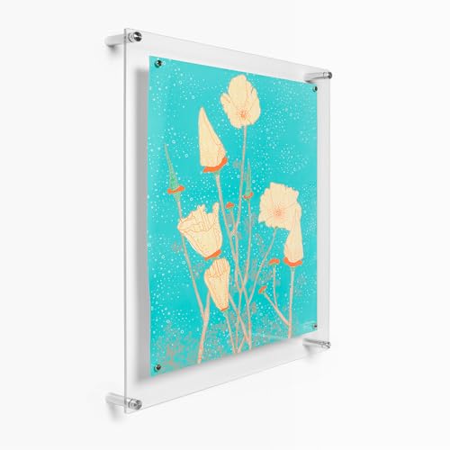Wexel Art 16x20" Clear UV Grade Acrylic Single Panel Magnetic Wall Frame/Memo Board with Silver Hardware for Contemporary Art and Images