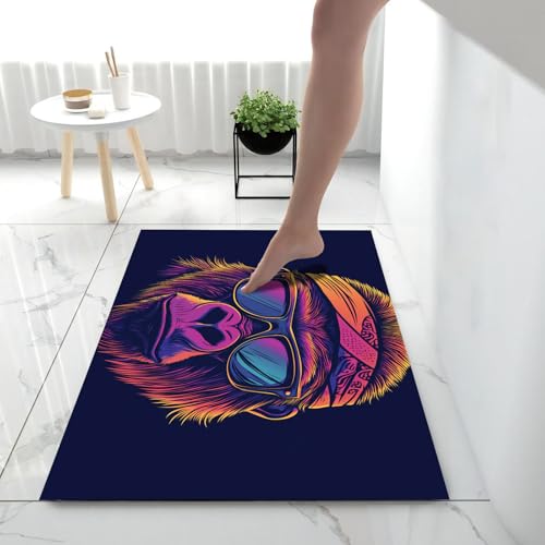 Tapis Entrée Imperméable et Absorbant Paillasson Antidérapant 80x120