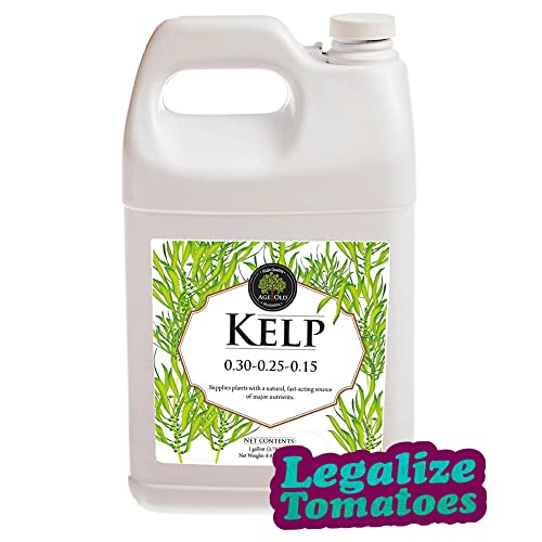 Fertilizante Líquido Kelp Age Old 1 Galón