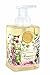 Michel Design Works Foaming Hand Soap, 17.8-Ounce, Botanical Garden