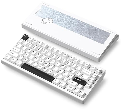 Rainy 75 系モデル　未開封品です Amazon | 【WOBKEY Rainy 75キーボード】雨音のような打鍵音