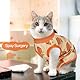 Katzenbody nach Op, Kastration Katze Body für Katzen Operation, Verstellbarer Rückenlänge Medical Pet Shirt, Atmungsaktiver Katzenanzug Gegen Lecken von Kastrations, Unterleibswunden, Orange XL