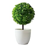 Tama？o: Altura 27cm / 10.6 Pulgada
