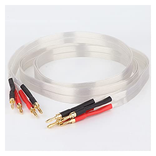 The Wires Zone Lautsprecherkabel 14 AWG, 76,2 M – Für Auto, Heim-Audio, PA-Systeme (transparent)