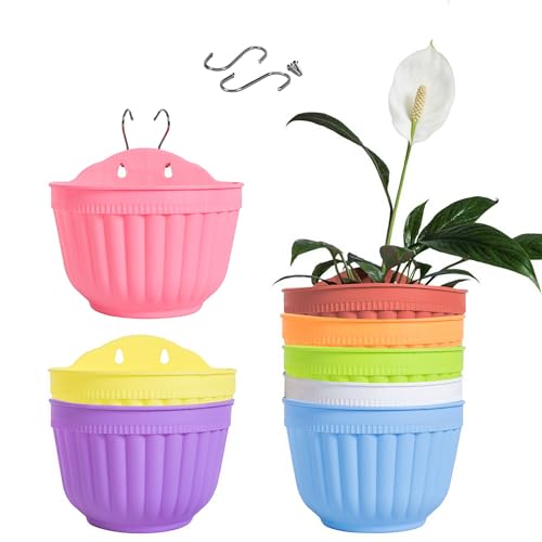 8 macetas de Resina Coloridas para Colgar