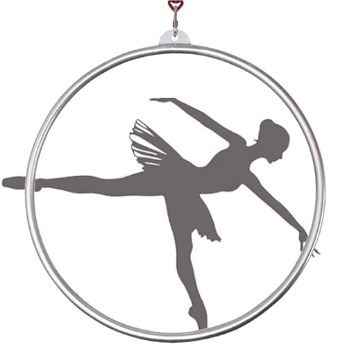 Quixnova 90cm Aerial Hoop Set Edelstahl Single Point Aerial Hoop Ausrüstung, Zirkus Hoop für Tanzstudio, Aerial Fitness,2.5cm