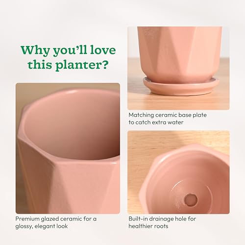 Image of UGAOO Diamond Ceramic Flower Pot for Indoor Plants, 4 Inch - Light Pink
