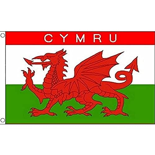 AZ FLAG - Flagge Wales Cymru - 90x60 cm - Walisische Fahne 100% Polyester mit Messing-Ösen - 50g
