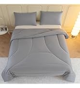 LETSLEEP Light Gray Full Size Comforter Sets, 3 Piece Temperature Lock Bedding Sets, Lightweight ...