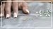 Imagen de Dazzlingrock Collection