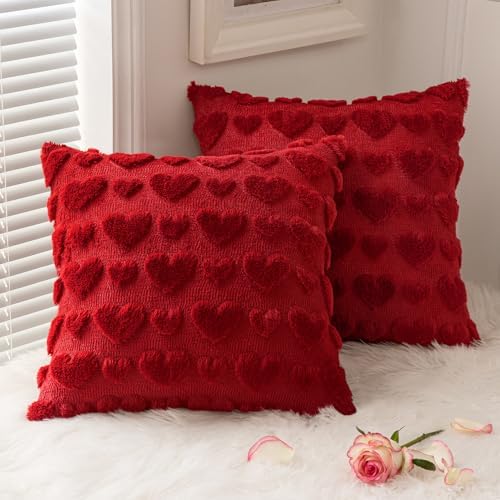 MIULEE Valentines Pillow Covers 18x18 Inch Set of 2 Valentines Da...