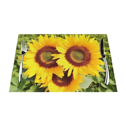 Set de table lavable anti-tache en PVC forme cœur pour table propre sans effort