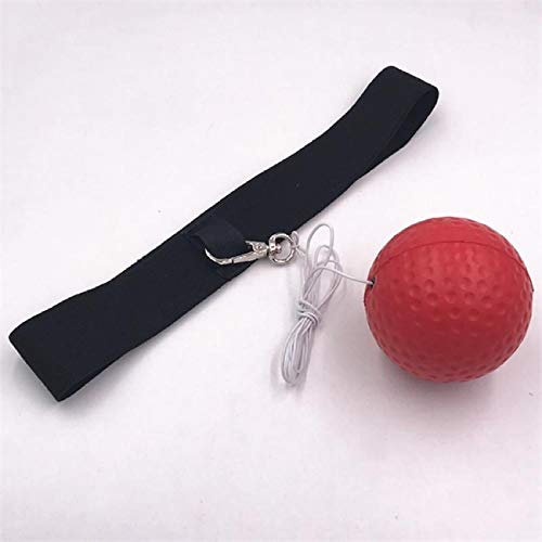 Bola Boxeo Banda Cabeza Pelota Boxeo Punching Ball