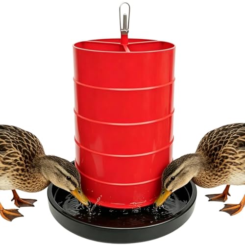 Abreuvoir pour poules et récipient d'eau pour poules, canards et lapins