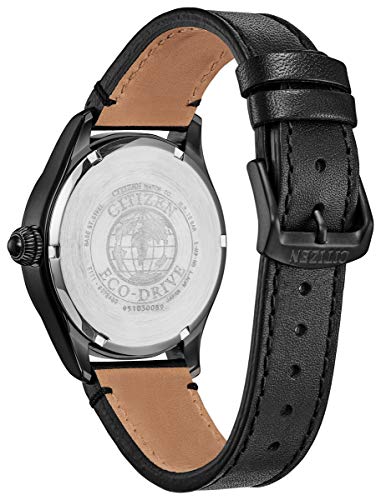 Image of Citizen Chandler Eco-Drive Movement Watch