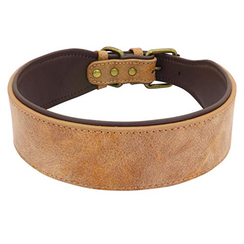 Collares Perros Anchos Cuero Marca ZMKW