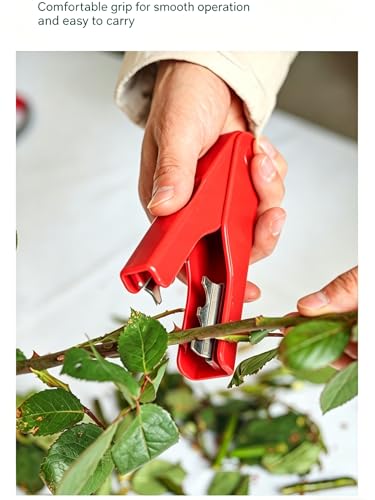 Herramienta para quitar espinas de rosas miniatura 4