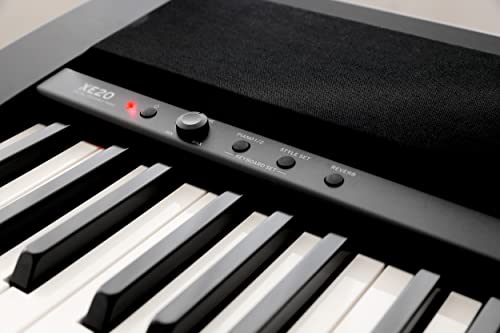 Piano arrangeur KORG XE20 88 notes - Les Beatles, Paul McCartney, John Lennon, RIngo Starr, George Harrison Piano arrangeur KORG XE20 88 notes – Image 7