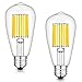 Produktbild 12W ST64 Antik Edison Stil Glühfaden LED Lampe, 6000K Tageslichtweiß 1000 Lumen, 100W Entspricht Glühlampe, Basics E27 LED Lampe, 360° Abstrahlwinkel,Nicht-Dimmbar, 2er-Pack