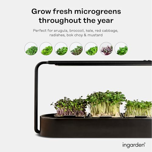ingarden Kit de Cultivo de Microgreens - Almofadas de Sementes Germinadas de Superalimento Orgânico(