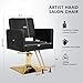 Artist hand Hair Salon Chair Black and Gold, Hydraulic Styling Chair with Heavy Duty Pump, 360 Degree Swivel Barber Chair, Beauty Salon Equipment for Hair Stylist, Max Load 330 Lbs