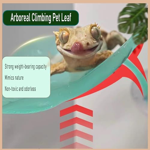 Image of Crested Gecko Tank Accessories,Crested Gecko Hide,Frog Habitat Platform,Gecko Wall Climbing Toy &Reptile Branches(3PCS) (Light Blue)